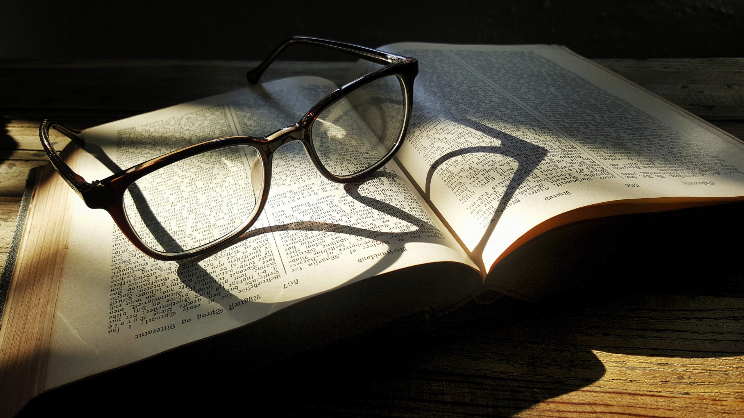 The Brothers Karamazov Summary & Analysis: Dostoevsky's Most Ambitious Novel — Finally Made Clear
